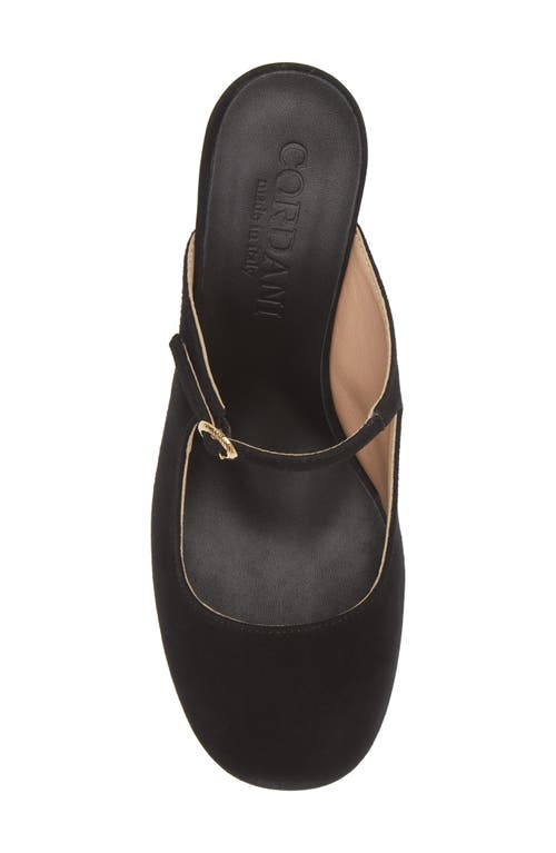 Shop Cordani Shayna Mary Jane Mule In Crosta Nero