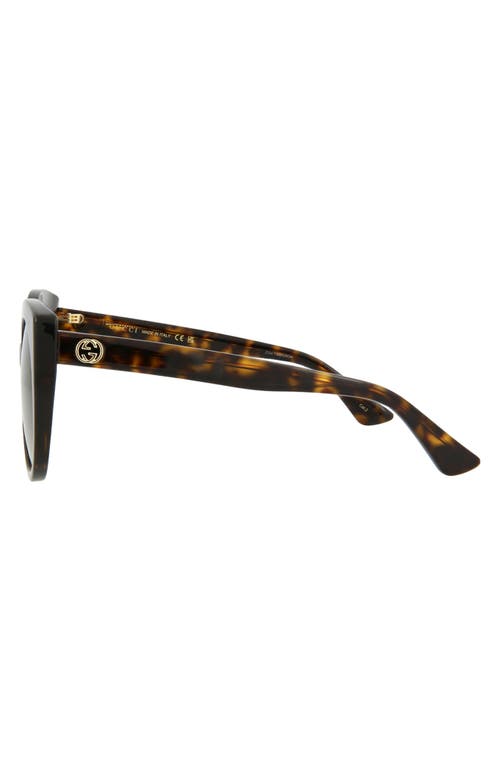 Gucci 55mm Gradient Cat Eye Sunglasses In Havana Havana Brown