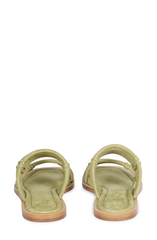 Saint G Zoya Safari Sandal In Safari