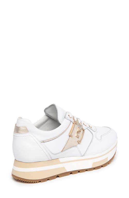 Shop Nerogiardini Logo Plate Sneaker In White/gold