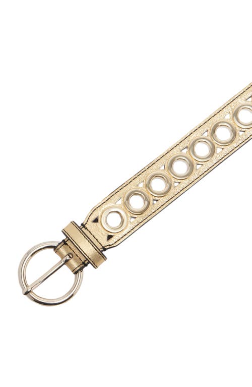 Shop Sandro Belt With Eyelets In Gold