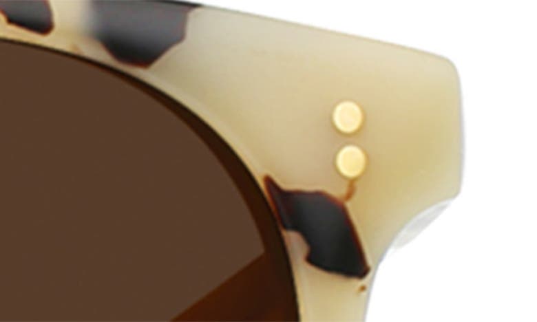 Shop Raen Norie Polarized Cat Eye Sunglasses In Ivory Tortoise/ Carob