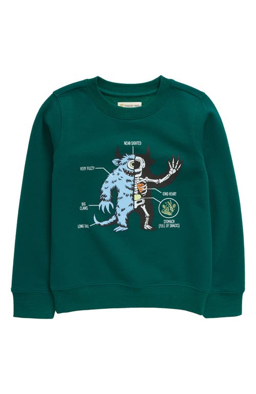 Tucker + Tate Kids' Graphic Crewneck Sweatshirt in Green Aventurine Monster Pal