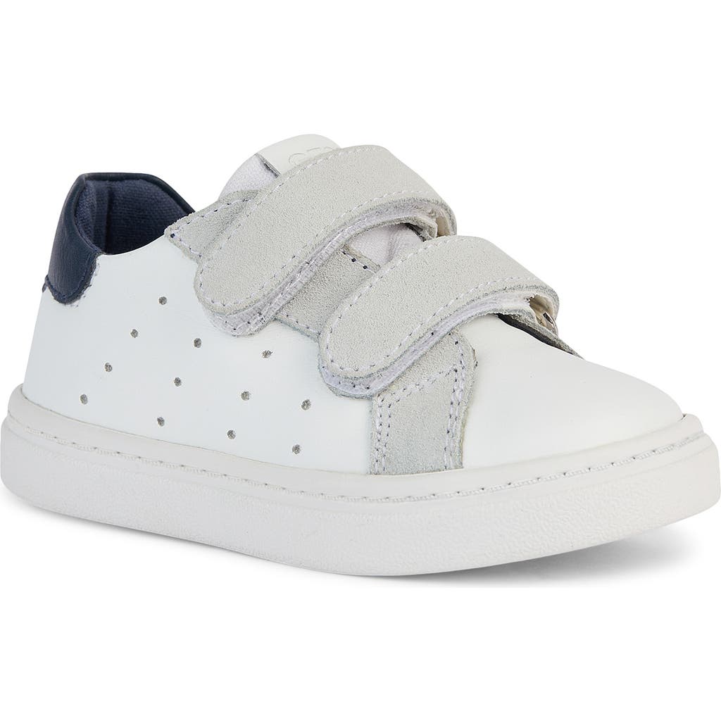 Geox Kids' Nashik Sneaker In White/navy