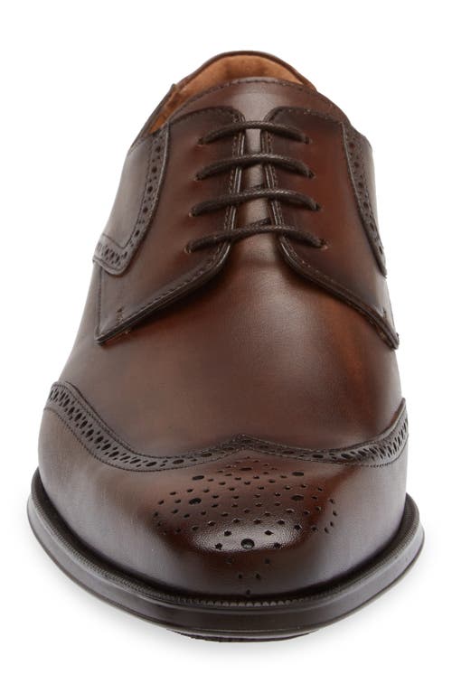 MEZLAN MEZLAN TASSO BROGUE DERBY 