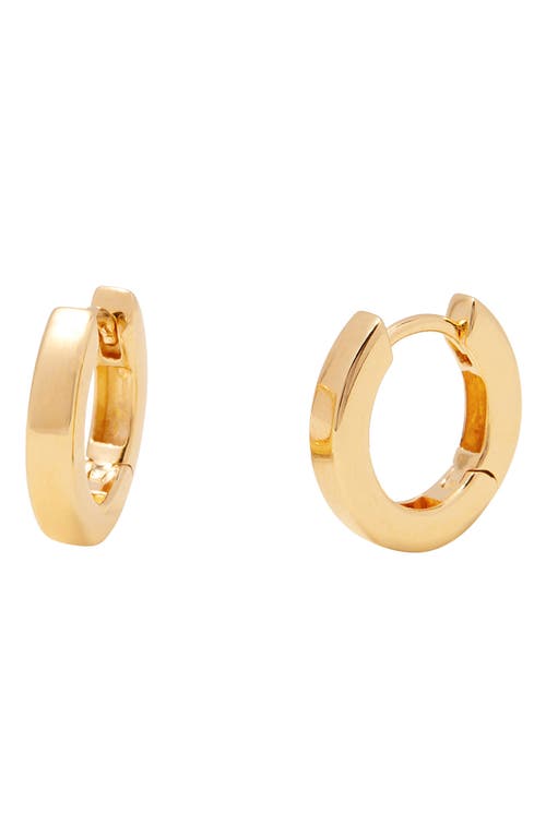 Abigale Huggie Hoop Earrings in Gold