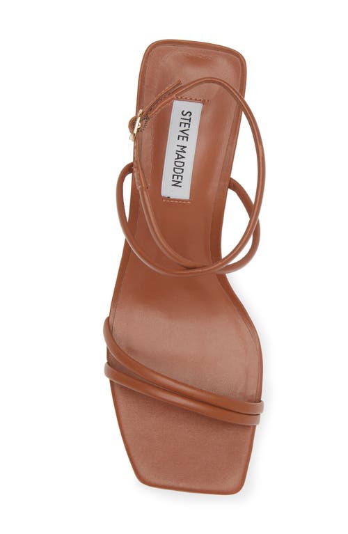 Shop Steve Madden Stefania Ankle Strap Sandal In Brown Leather