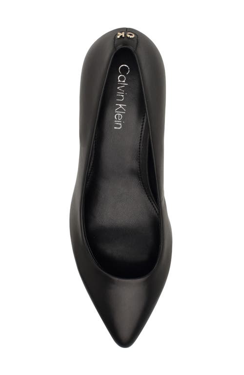 Calvin Klein Lenott Pointed Toe Pump In Black Smooth