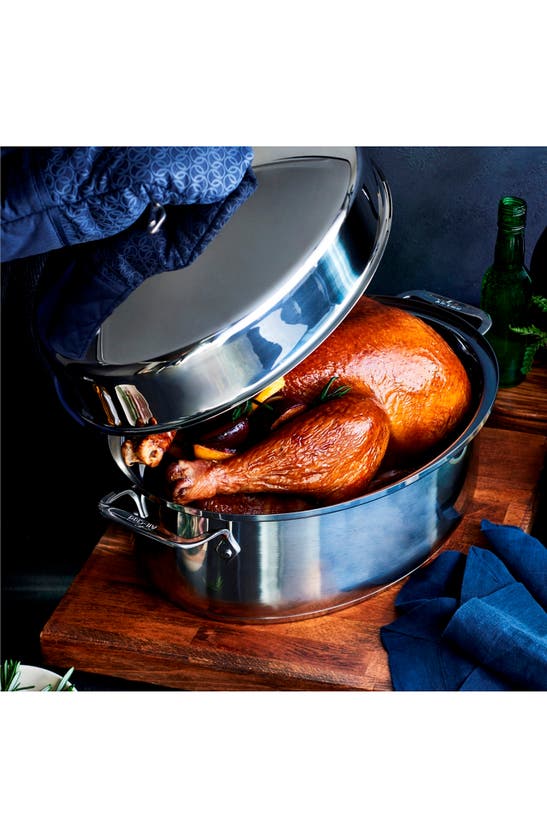 All-clad 10-quart Covered Oval Roaster & Lid In Silver