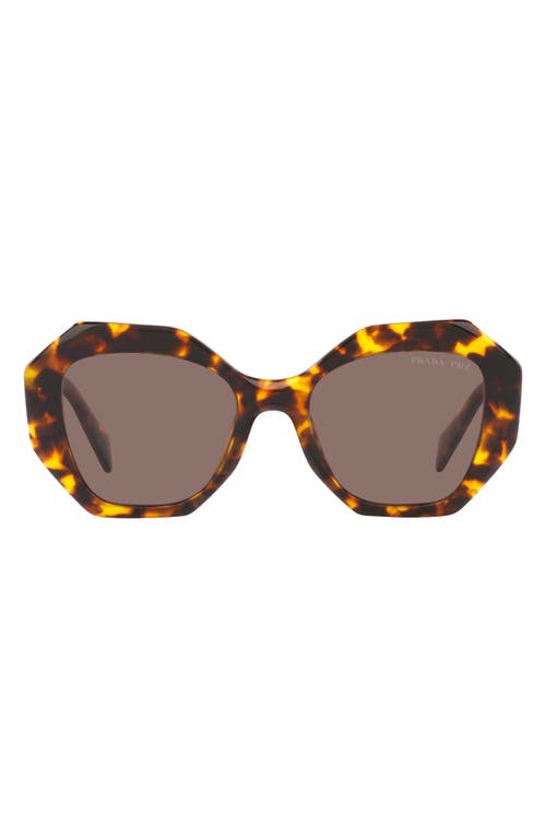 EAN 8056597753715 product image for Prada 53mm Polarized Irregular Sunglasses in Tortoise Polarized at Nordstrom | upcitemdb.com