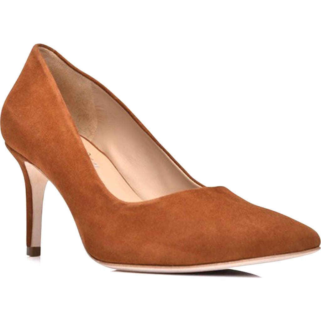 Joan Oloff Deborah Pointed Toe Pump In Autumn Suede