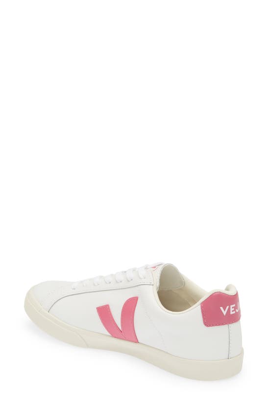 Shop Veja Esplar Sneaker In Extra-white Parme