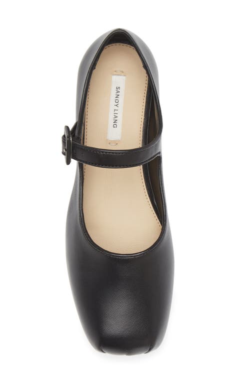 Shop Sandy Liang Pointe Mary Jane Flat In Black Napa