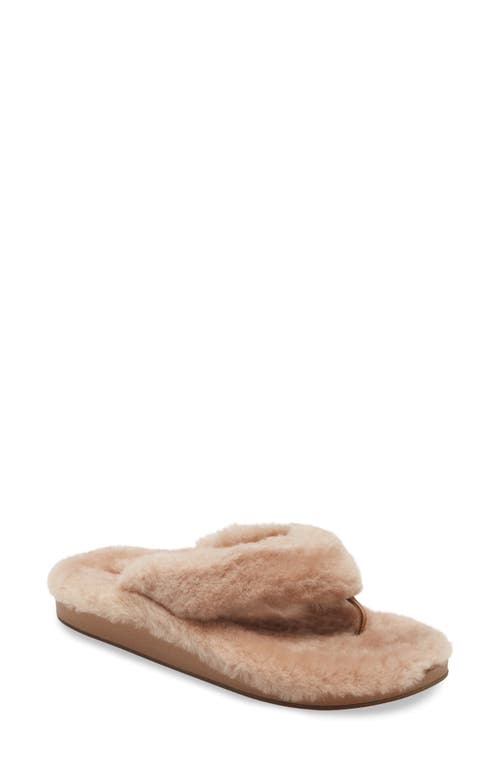 Shop Olukai Kipea Heu Genuine Shearling Slide Sandal In Tan/tan