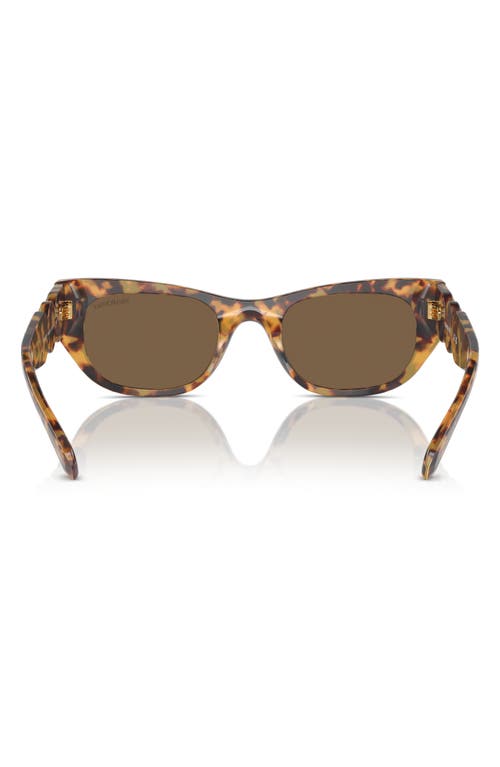 Shop Swarovski 53mm Pillow Sunglasses In Havana Transparent