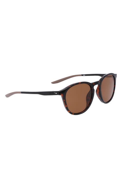 Nike Neo Rd 50mm Round Sunglasses In Tortoise/brown