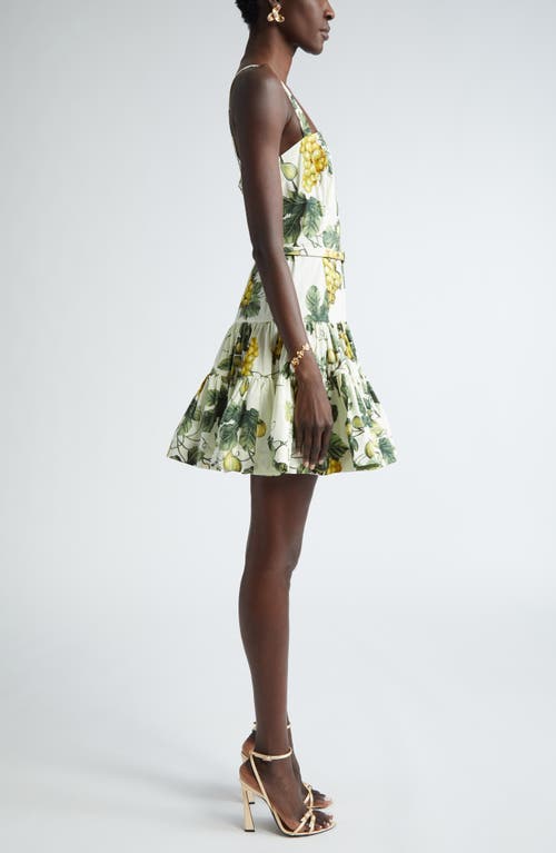 Shop Oscar De La Renta Fig Print Belted Mini Sundress In Ecru/green