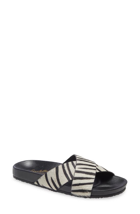 Seychelles Lighthearted Slide Sandal In Zebra