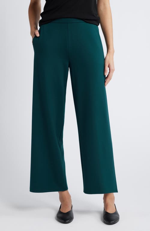 Eileen Fisher High Waist Wide Leg Ponte Pants in Fir 