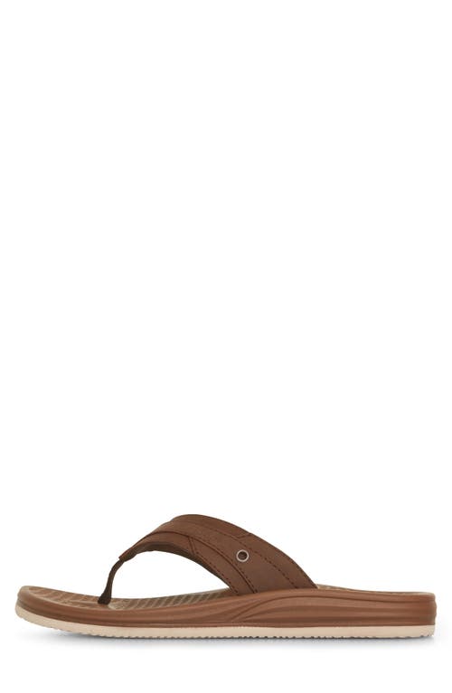 Shop Floopi Daniel Comfort Thong Flip Flop In Brown