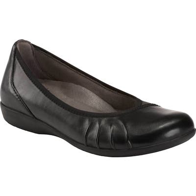 Earth Alder 2 Derby Skimmer, Black