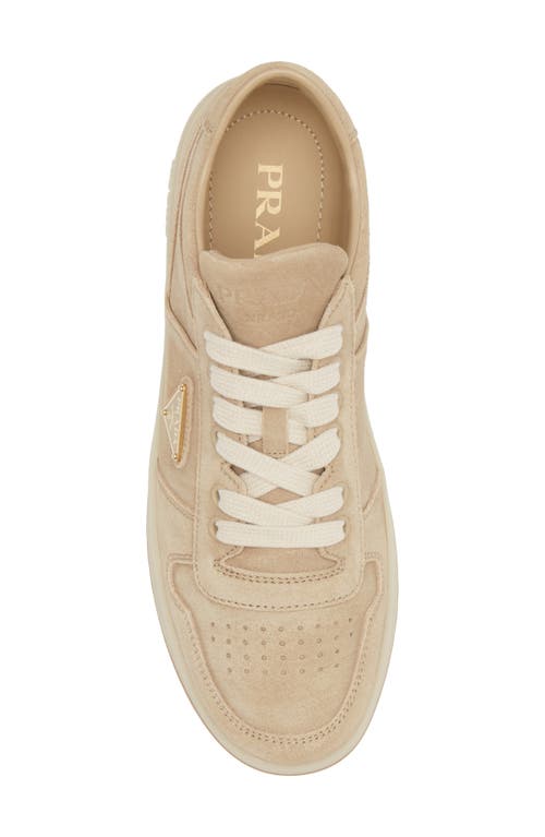 Shop Prada Downtown Sneaker In Ecru