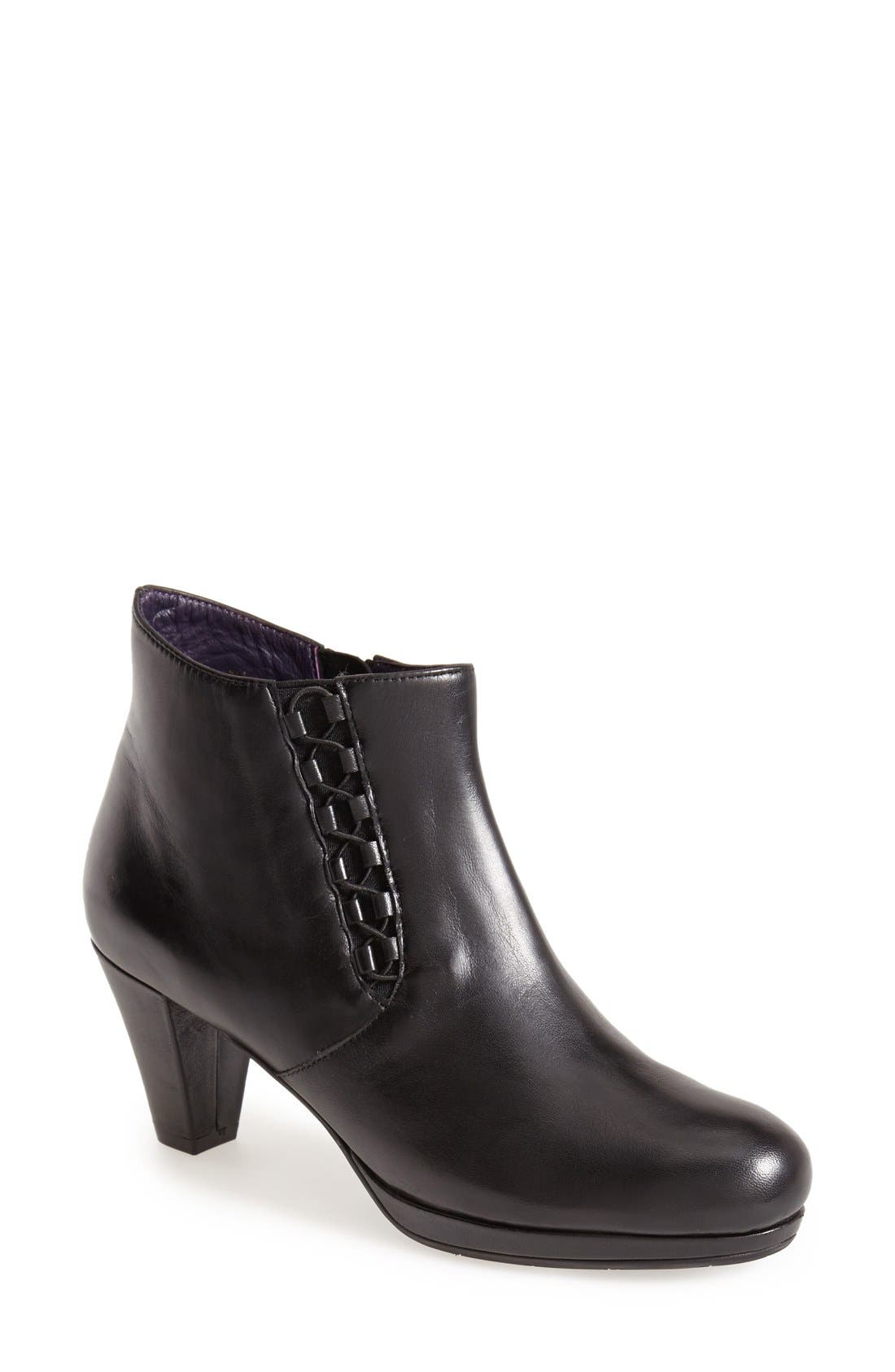 vaneli purple collection