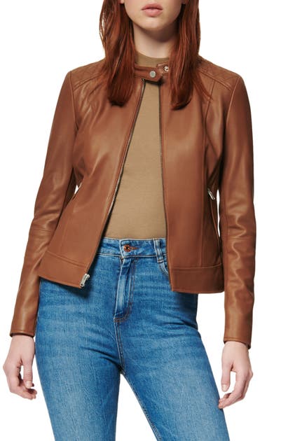 Marc New York Classic Stand Collar Leather Moto Jacket In Brown Stand Collar Leather Moto Jacket