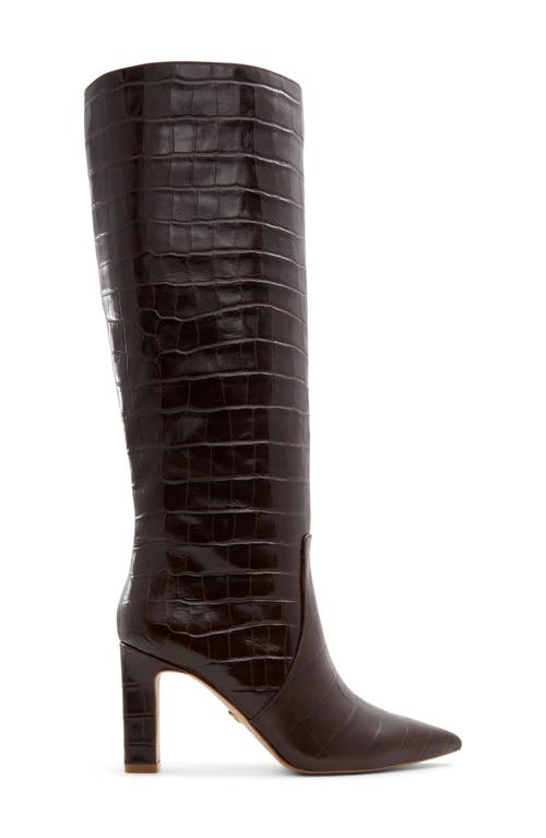 Shop Aldo Cadigoder Pointed Toe Knee High Boot In Dark Brown