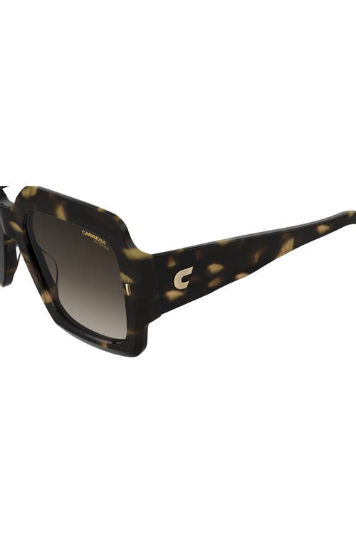 Carrera Eyewear 54mm Gradient Rectangular Sunglasses In Havana/brown Gradient