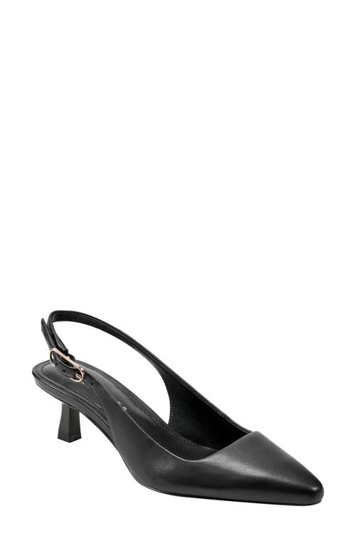 Shop Marc Fisher Ltd Kory Pointed Toe Kitten Heel Pump In Black