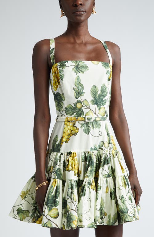 Shop Oscar De La Renta Fig Print Belted Mini Sundress In Ecru/green