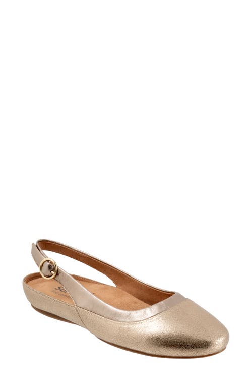 SoftWalk® Sheffield Slingback Flat in Bronze 