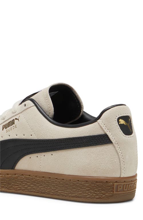 Shop Puma Suede Terrace Sneaker In Alpine Snow-gum