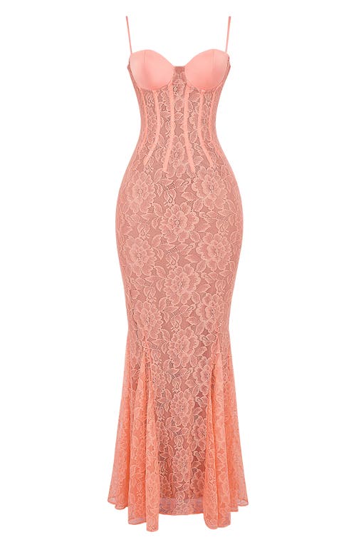 Shop House Of Cb Cordelia Lace Corset Mermaid Gown In Papaya Punch