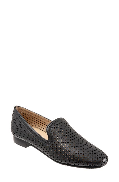 Ginger Perforated Loafer in Black