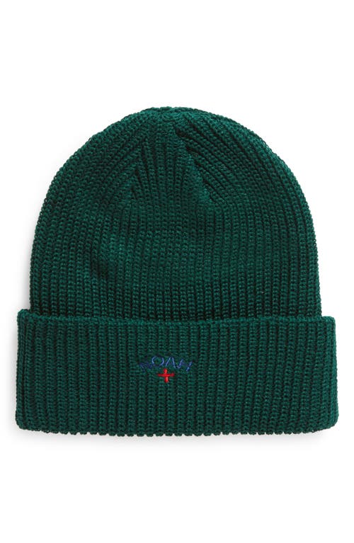 Core Logo Embroidered Beanie in Forest Green