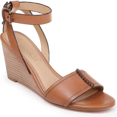Splendid Tadeo Wedge Ankle Strap Sandal, Brown