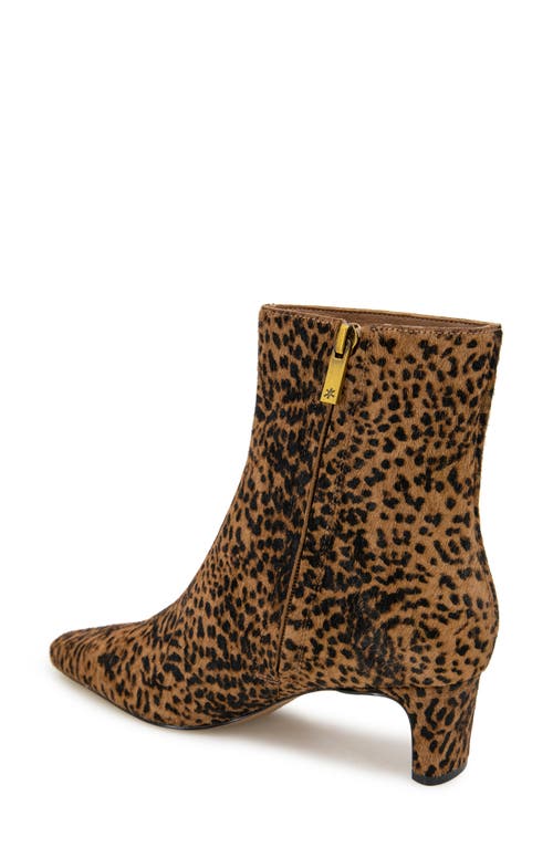 Shop Splendid July Pointed Toe Genuine Calf Hair Bootie In Cheetah