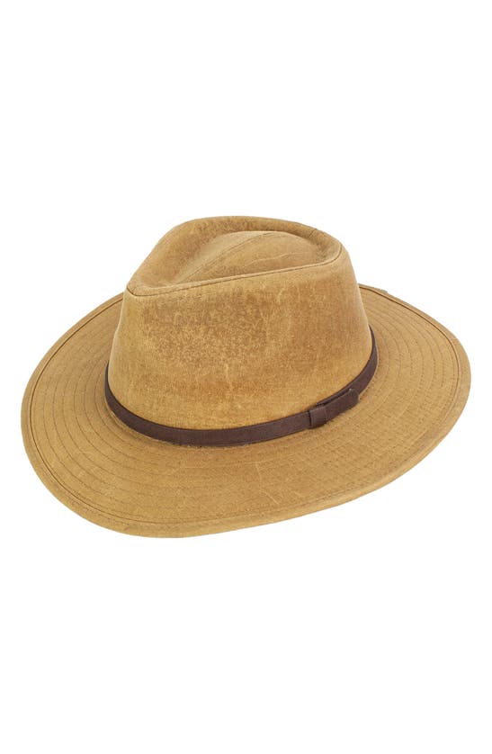Shop Peter Grimm Braxton Velour Hat In Tan