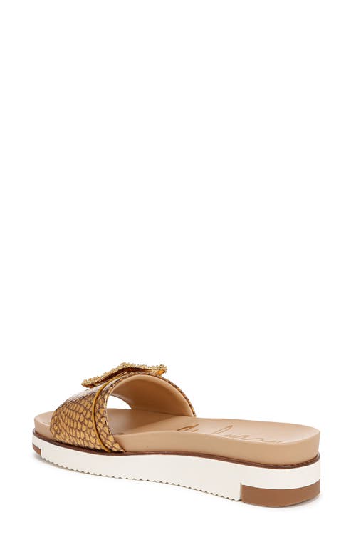 Shop Sam Edelman Ariane Platform Slide Sandal In Medallion Gold