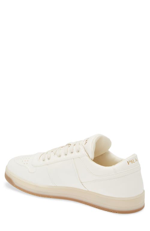 Prada Ivory Leather Lace-up Sneakers In Avorio