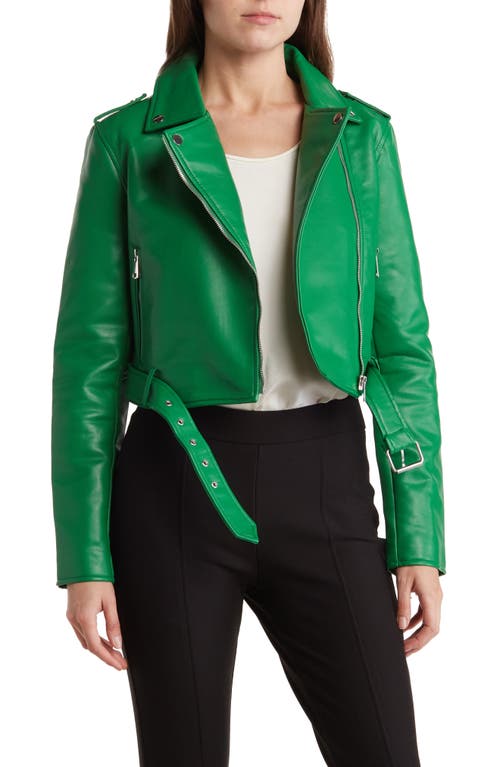 AZALEA WANG Faux Leather Moto Jacket in Green