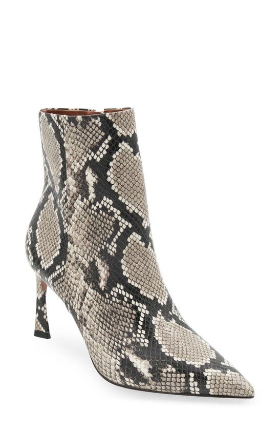 Bcbgmaxazria Pia Pointed Toe Bootie In Natural Snake