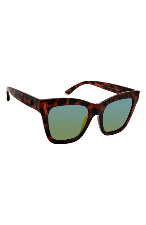 Shop Kurt Geiger London 53mm Cat Eye Sunglasses In Havana Crystal Purple/rainbow