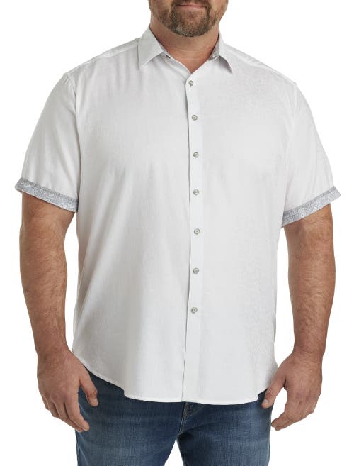 Shop Robert Graham Dxl Robert Graham Luther Sport Shirt In White