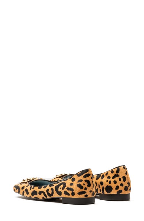 Frances Valentine Genuine Calf Hair Square Toe Ballet Flat In Haircalf Brown/ Black