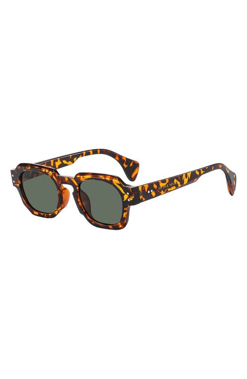 Fifth & Ninth Echo 50mm Polarized Rectangular Sunglasses In Torte/olive