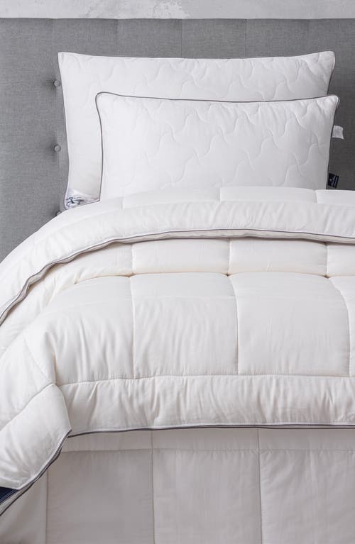 Brooks Brothers Cotton Blend Pillow In White