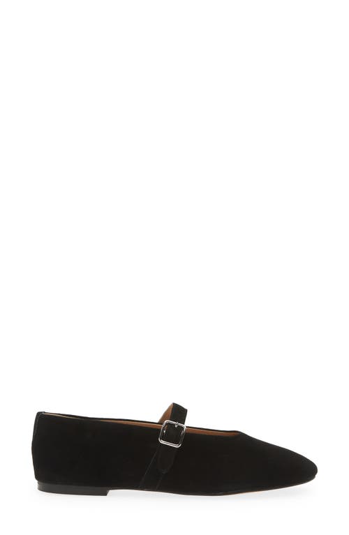 Shop Steve Madden Dreaming Mary Jane Flat In Black Suede